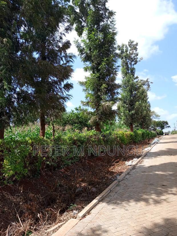 Prime One Acre, Kiukenda