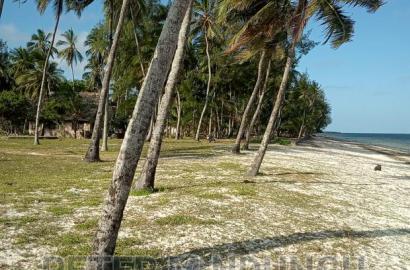 Prime 4.4acres Sandy Beach , Kikambala