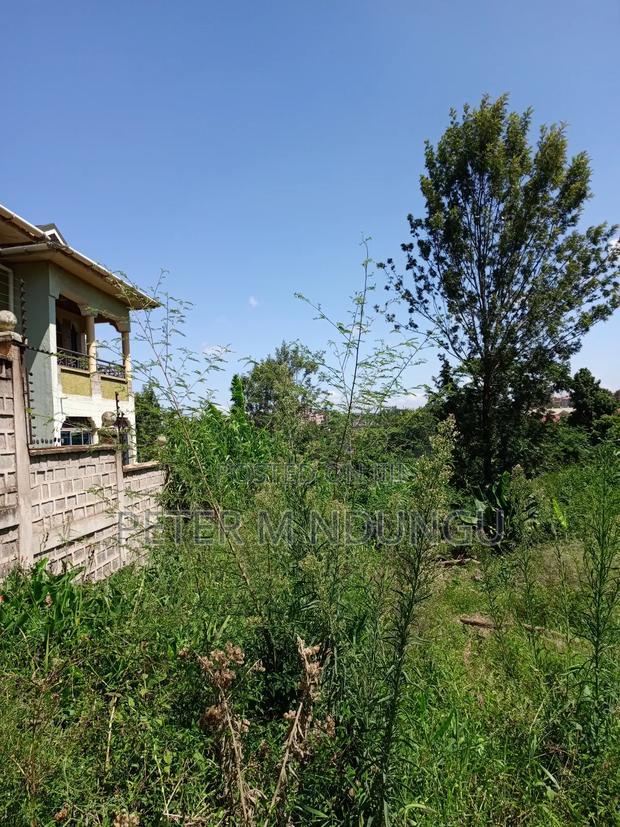 Prime Land on Sale, 1/2 Acre, Off Mirema Drive