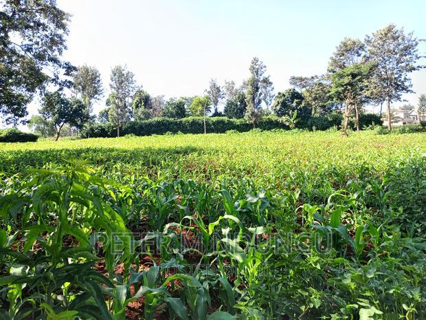 Prime 1/2 Acre on Sale, Thome 1