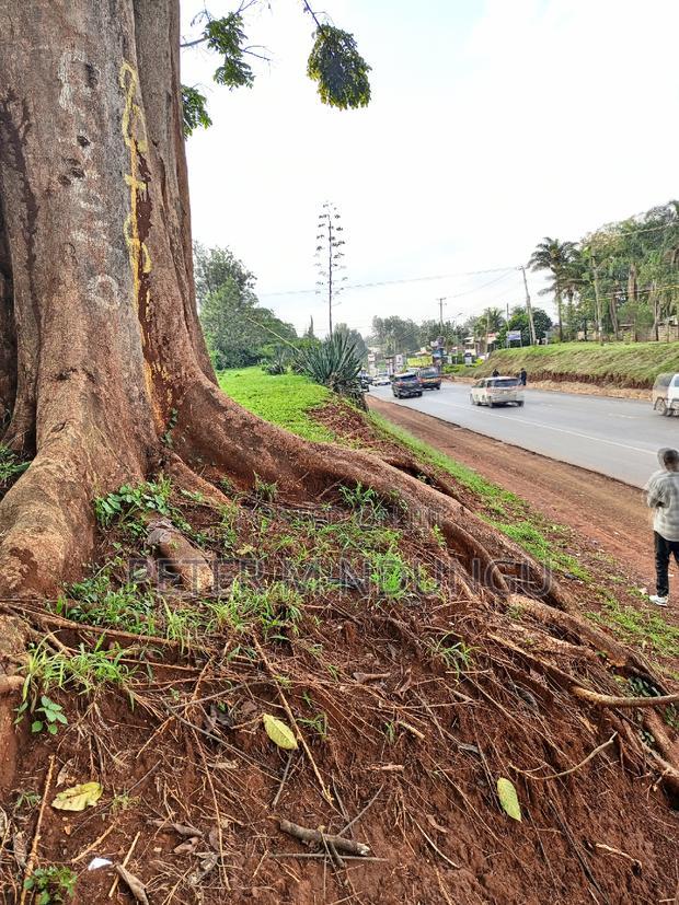 Prime 5 Acres to Let Touching Kiambu Road