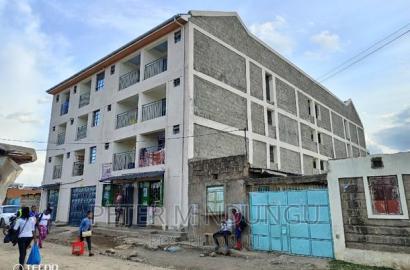 Furnished 1bdrm Block of Flats in Ruiru for sale