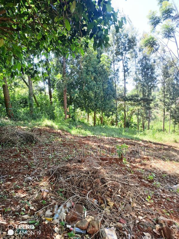 Ruaka Town 1/2 Acre on Sale