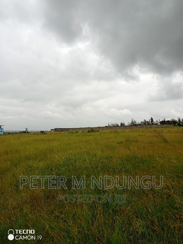 Plots on Sale, Joska