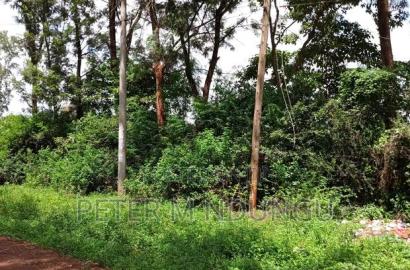 Thindigua Prime 2.25 Acres