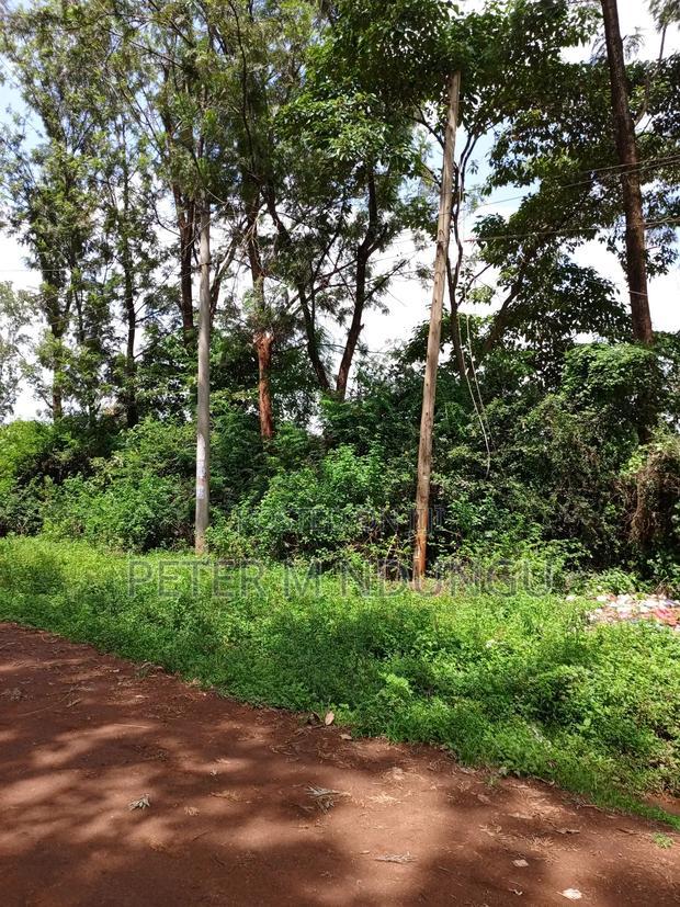 Thindigua Prime 2.25 Acres
