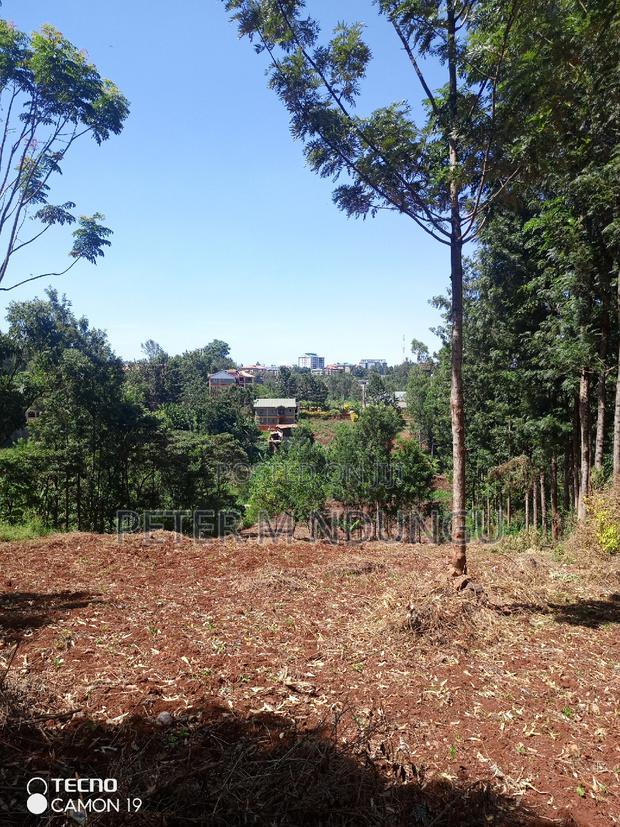 Ruaka Town 1/2 Acre on Sale