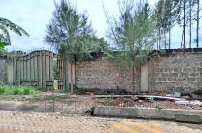 Prime on Sale, Kamiti Ridge Estate