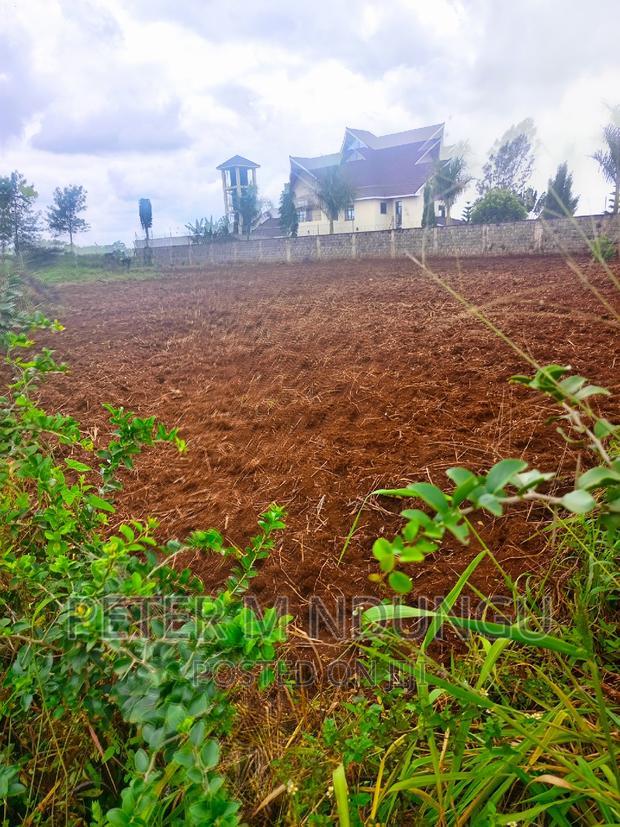 Prime Half Acre, Runda Mumwe