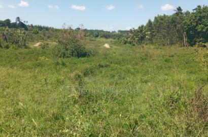 Ukunda Prime 145 Acres Agricultural Land