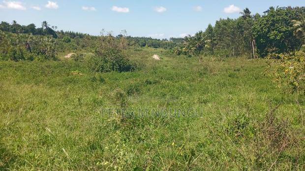 Ukunda Prime 145 Acres Agricultural Land