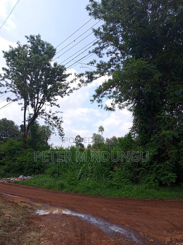 Thindigua Prime 2.25 Acres