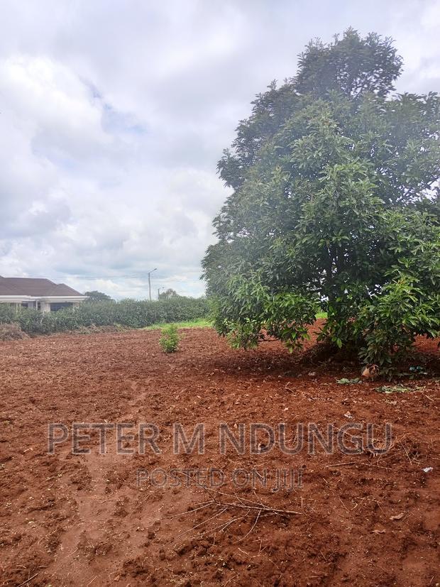 Prime Half Acre, Runda Mumwe