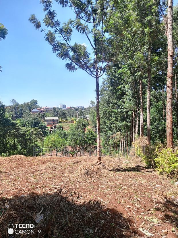 Ruaka Town 1/2 Acre on Sale