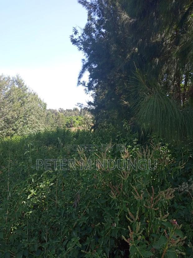 Mushrooms Garden, Kiambu Road,1/2 Acre