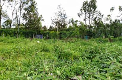Prime 5.5 Acres , Garden Estate on Sale