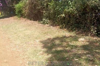 Prime Land for Rent 1/2 Acres,Mugutha