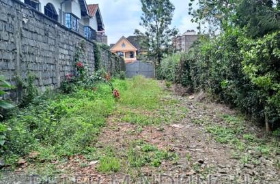 Thome One, Prime 1/2 Acre Plot