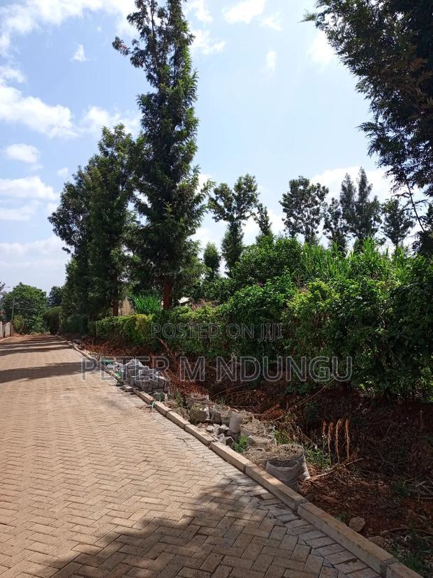 Prime One Acre, Kiukenda