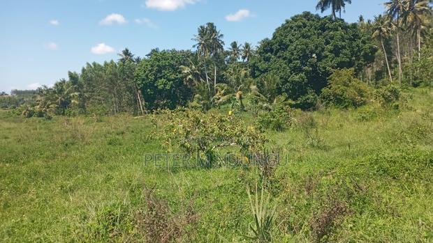 Ukunda Prime 145 Acres Agricultural Land