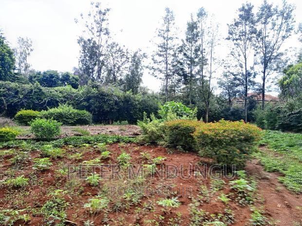 Thome One, Prime 1/2 Acre Plot