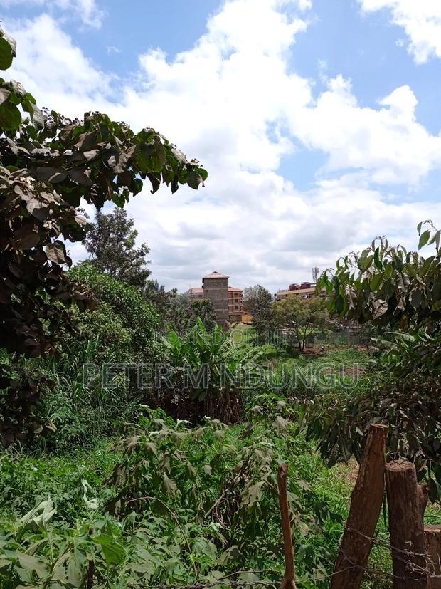 Kiamumbi Pime 100*100, Title
