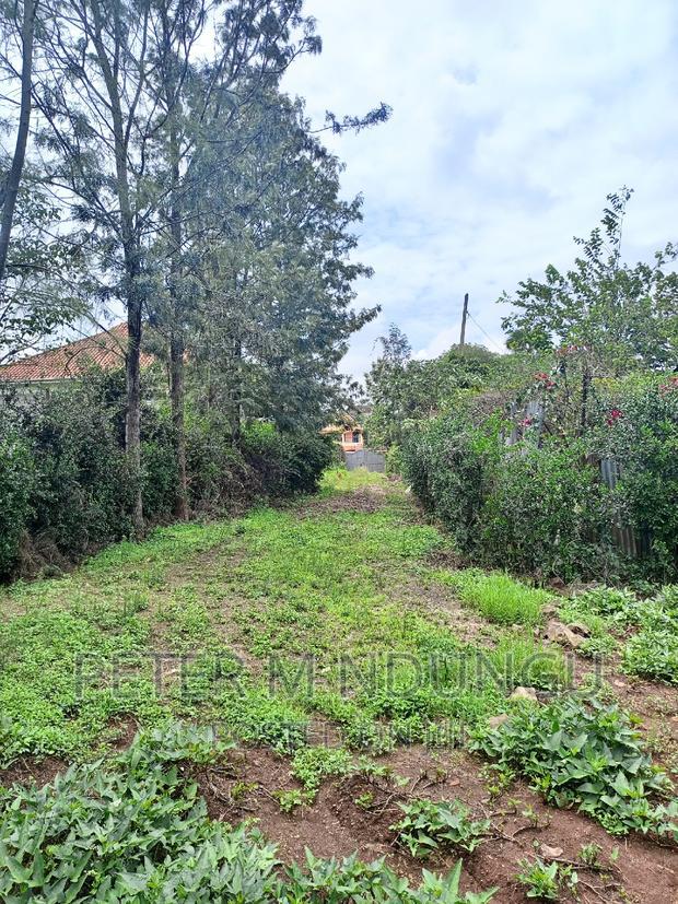 Thome One, Prime 1/2 Acre Plot