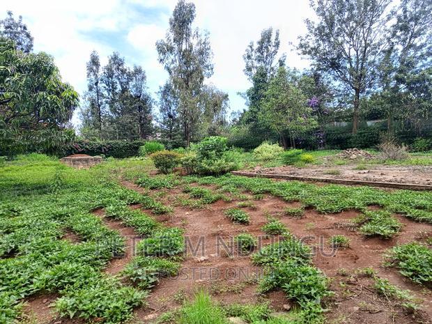 Thome One, Prime 1/2 Acre Plot