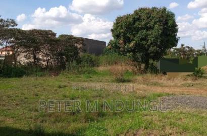 Prime Land on Sale 1/2 Acre, Greenspot Kamakis