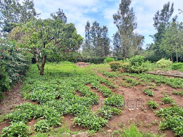 Thome One, Prime 1/2 Acre Plot