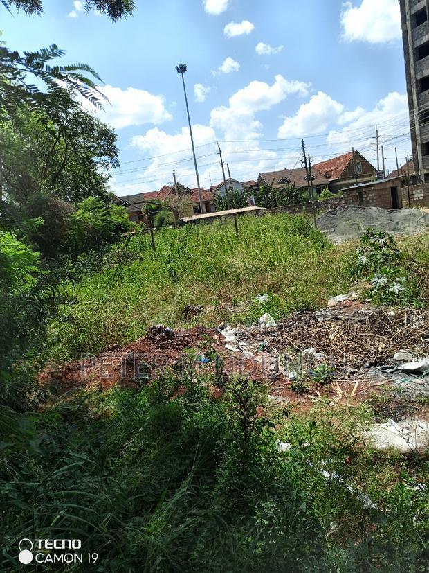 Safari Park , Prime 40*80