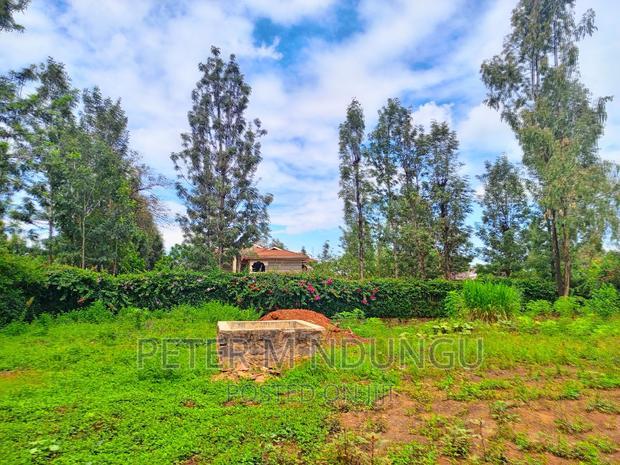 Thome One, Prime 1/2 Acre Plot