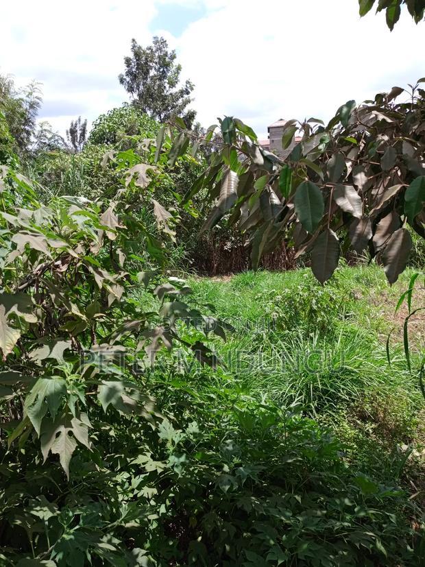 Kiamumbi Pime 100*100, Title