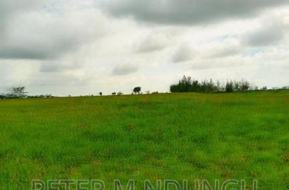 Prime Land on Sale , 10 Acres,Shorinke
