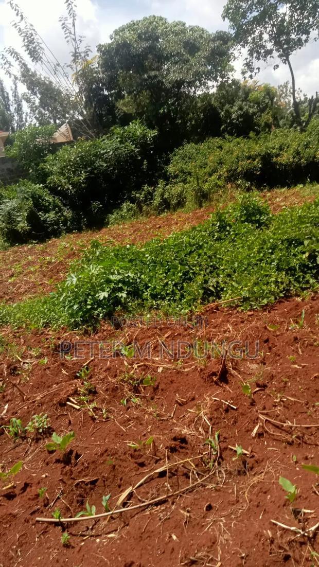 Thome 1/4 Land on Sale, Gated Community