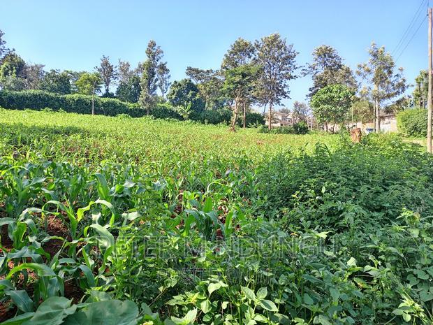 Prime 1/2 Acre on Sale, Thome 1
