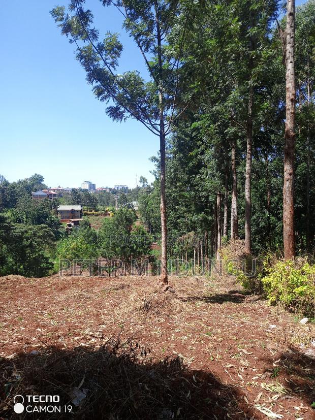 Ruaka Town 1/2 Acre on Sale