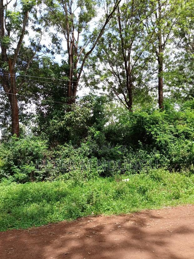 Thindigua Prime 2.25 Acres
