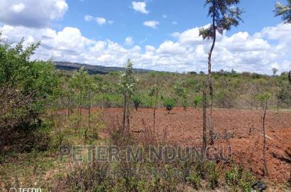 Prime 2 Acres on Sale , Kambiti