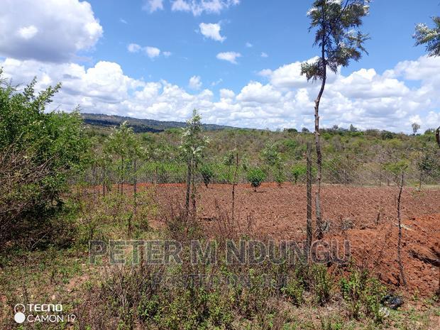 Prime 2 Acres on Sale , Kambiti