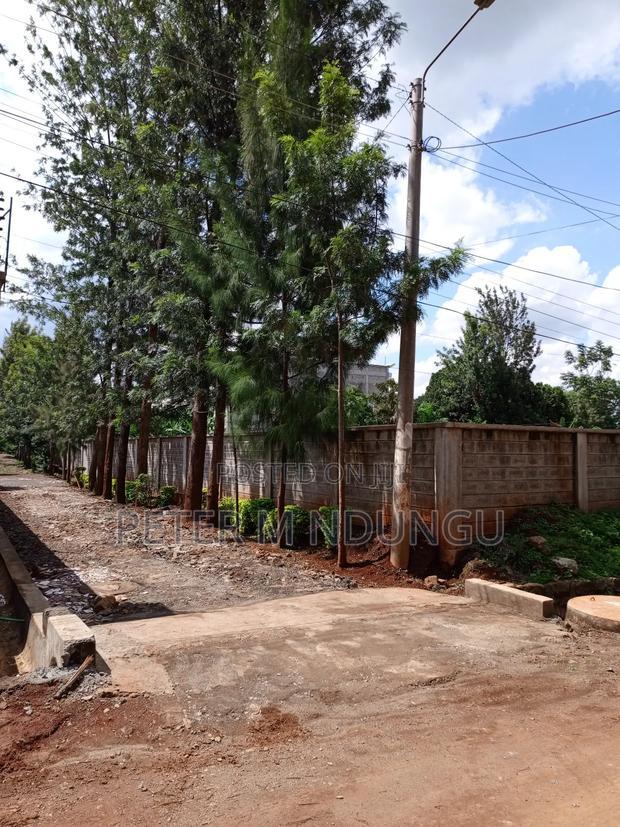 Prime Residential Plot , 1/2 Acre, Second Row, Thome