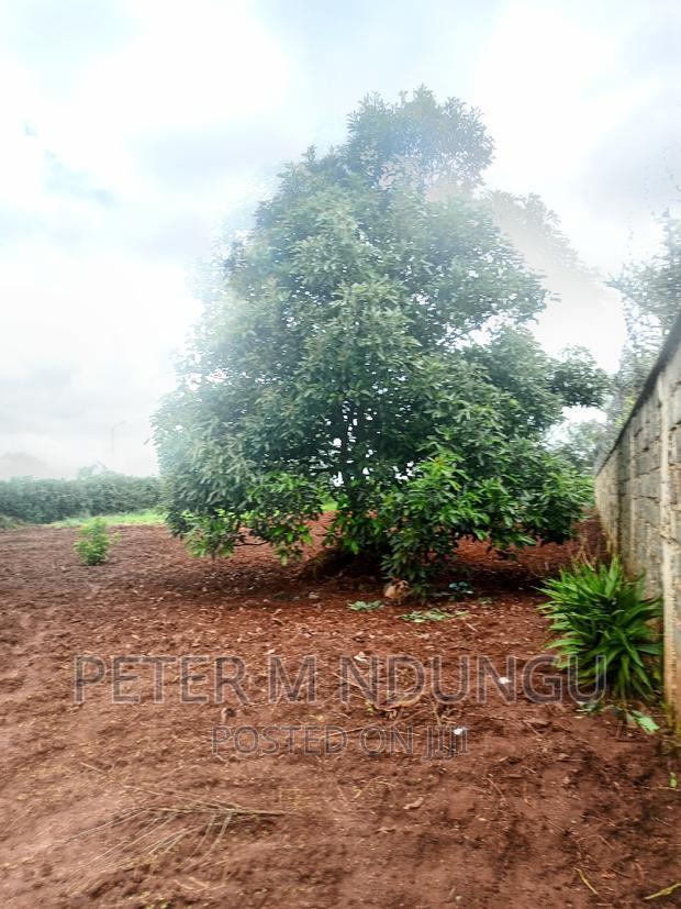 Prime Half Acre, Runda Mumwe