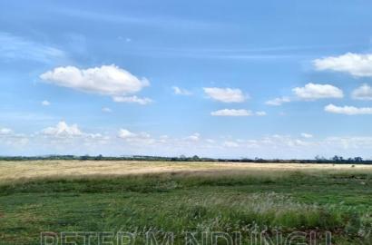 Prime Land on Sale, 100acres