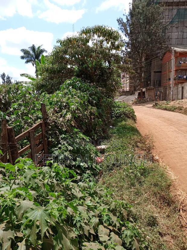 Kiamumbi Pime 100*100, Title