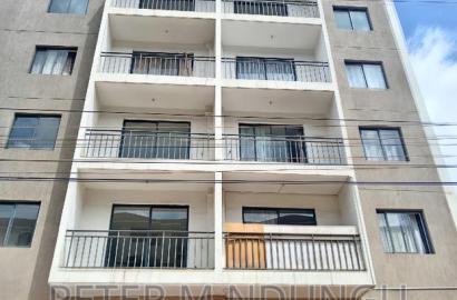 2bdrm Apartment in Maziwa for sale