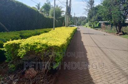 Ridgeways Prime Residential 1/2 Acre on Sale