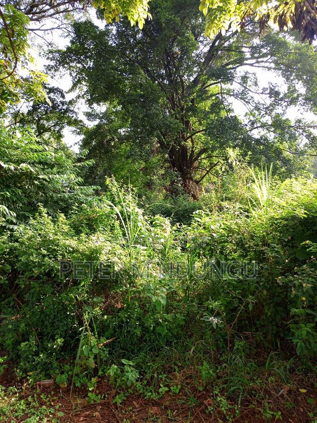 Prime 5 Acres to Let Touching Kiambu Road
