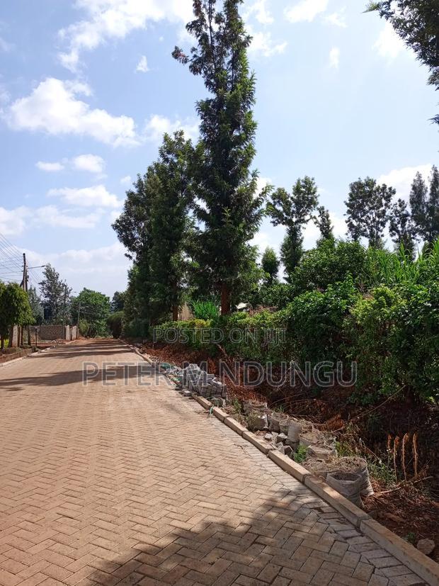 Prime One Acre, Kiukenda