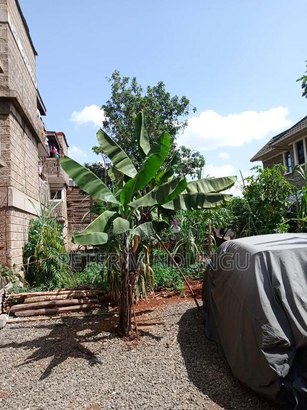 Prime Plot 0.0272 Hectares, Seasons,Kasarani