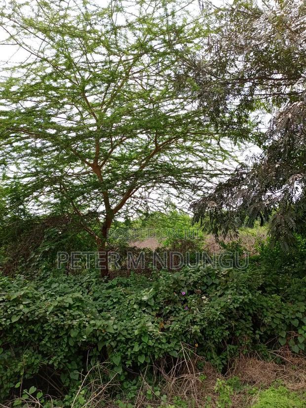 Prime Land on Sale, 60 Acres Muthaiga North